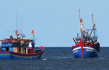 Vi phạm hành chính trong lĩnh vực thủy sản bị phạt tới 1 tỷ đồng