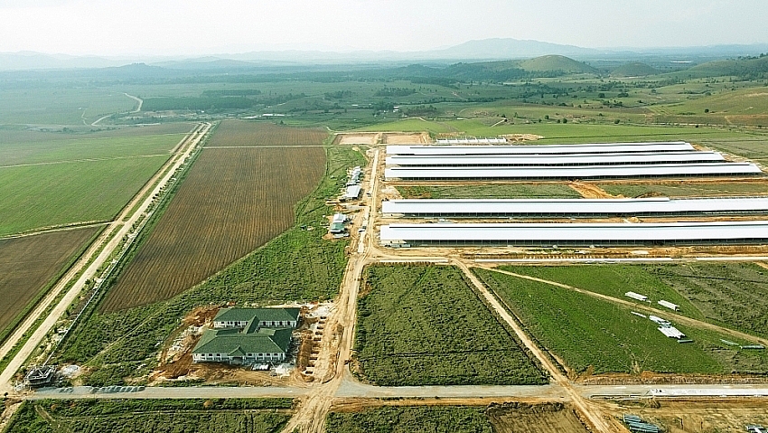 Trang trại đầu tiên trong Tổ hợp bò sữa Lao-Jagro tại Xiêng Khoảng của Vinamilk.