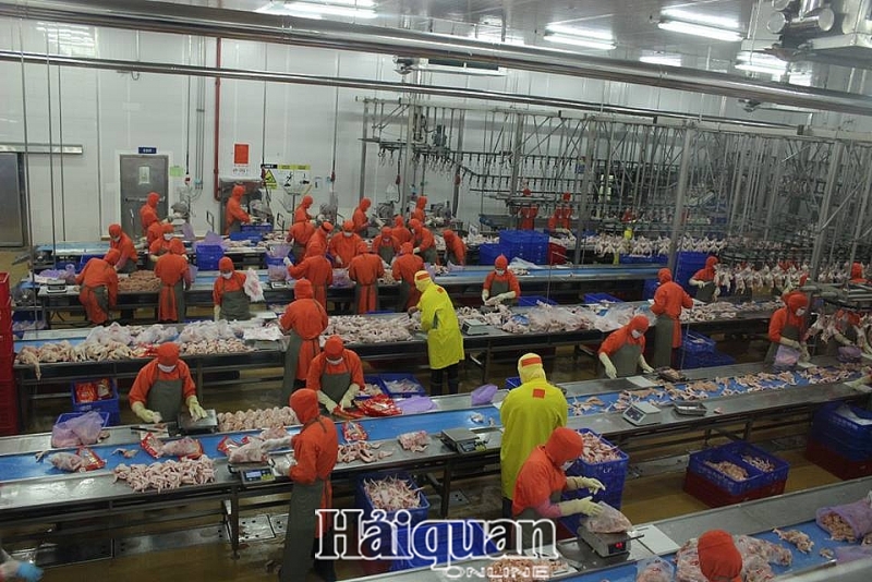 sua luat doanh nghiep va luat dau tu tranh chong cheo va xung dot