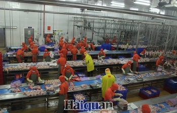 Sửa Luật Doanh nghiệp và Luật Đầu tư để rõ ràng và phù hợp thực tiễn