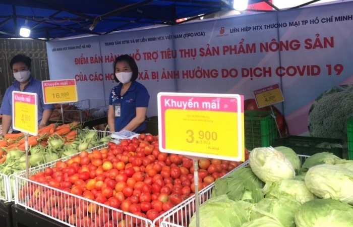Siêu thị Co.opmart vào cuộc giải cứu nông sản Hải Dương