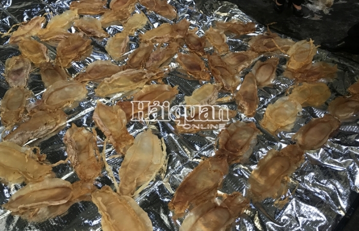 Hải quan phát hiện gần 45kg bóng cá thuộc danh mục CITES