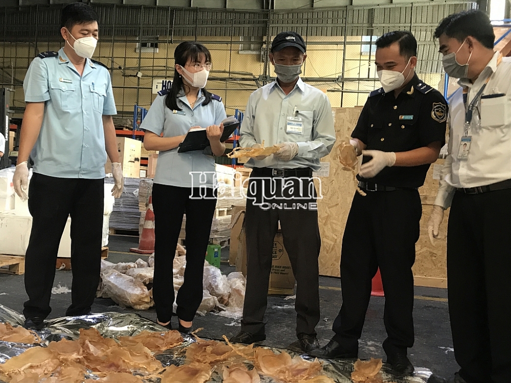 Hình ảnh lô hàng bong bóng cá Totoaba nhập khẩu trái phép tại sân bay Tân Sơn Nhất
