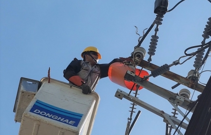 Phân loại, áp dụng mức thuế đúng quy định mặt hàng dây nhôm trần dẫn điện trên không