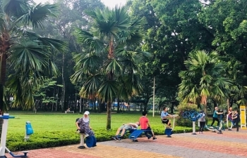 TPHCM tỷ lệ diện tích cây xanh chỉ đạt 8%