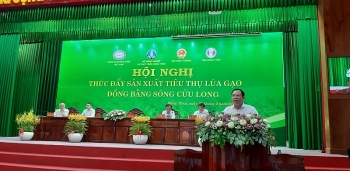 Tiêu thụ lúa gạo gặp khó ở nhiều thị trường