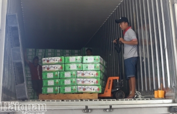 Thấp thỏm xuất khẩu trái cây