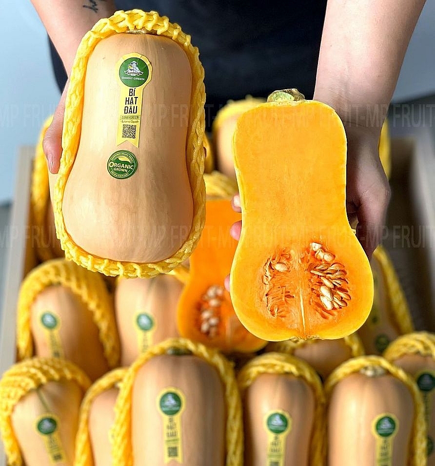 Bí hạt đậu Danny Green của Công ty Seagull ADC đã đạt tiêu chuẩn hữu cơ JAS của Nhật Bản Bí hạt đậu Danny Green của Công ty Seagull ADC đã đạt tiêu chuẩn hữu cơ JAS của Nhật Bản