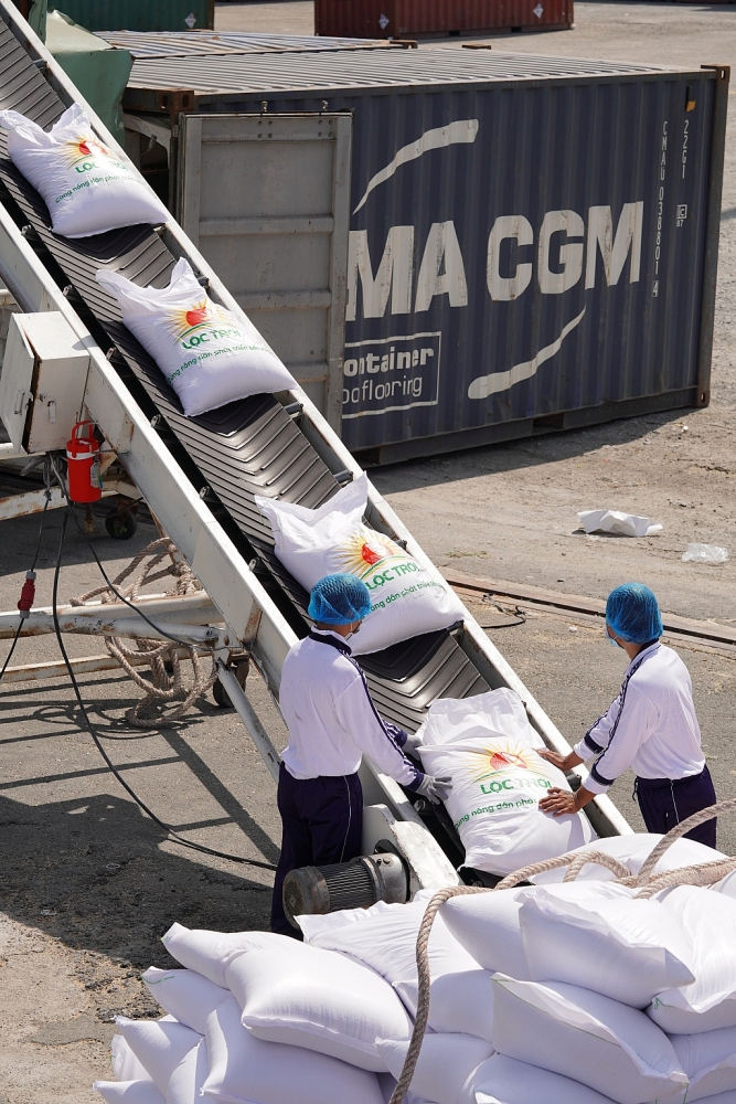 Băng chuyền tải gạo của Lộc Trời lên container để xuất khẩu