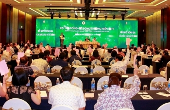 OCB kỳ vọng lên sàn trong năm 2019