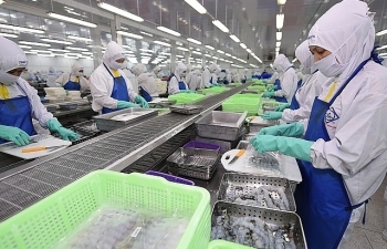 Ảnh hưởng Covid-19, tiêu thụ tôm của FMC giảm trên 130 tấn