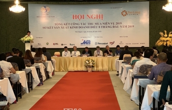 Ngành điều bớt lo về nguyên liệu nhập khẩu