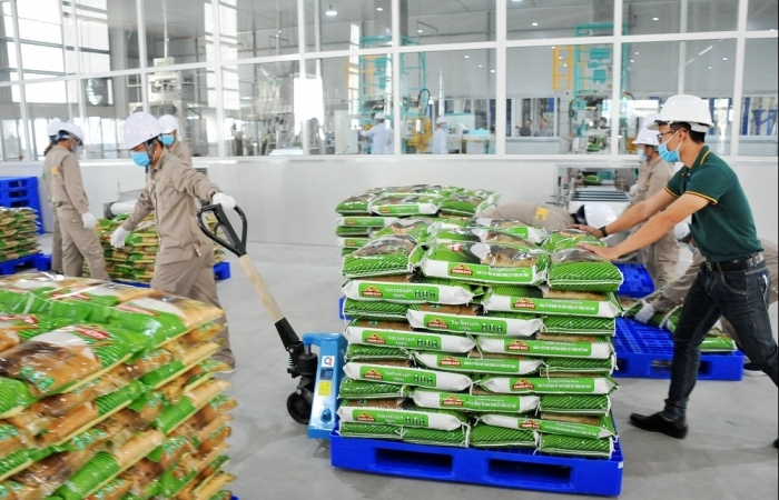 Sản phẩm gạo thương hiệu Việt chinh phục thị trường quốc tế