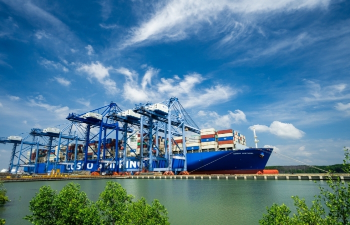 Cơn lốc giá cước buộc doanh nghiệp xuất khẩu phải tăng đơn hàng CIF để giữ chân khách hàng