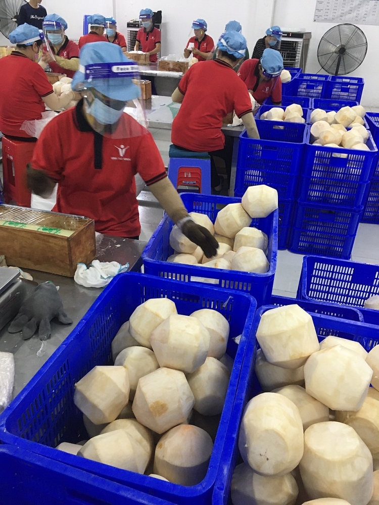 Khôi phục sản xuất, nối liền lưu thông để 