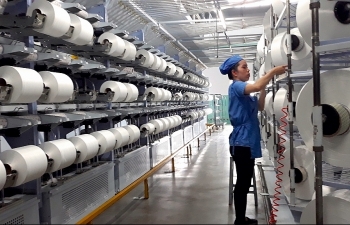 Tiêu thụ sợi tái chế tăng mạnh