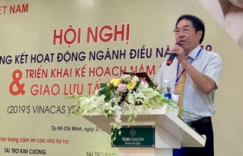 Xuất khẩu điều cả năm dự kiến sẽ đạt 3,6 tỷ USD