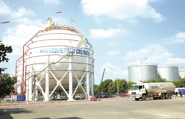 Khai sai thuế, PGS bị phạt và truy thu tiền tỷ