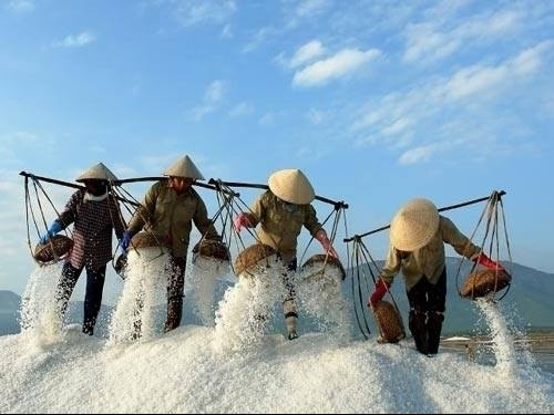 Công ty Muối Việt Nam chào bán lần đầu gần 1,28 triệu cổ phần để cổ phần hoá