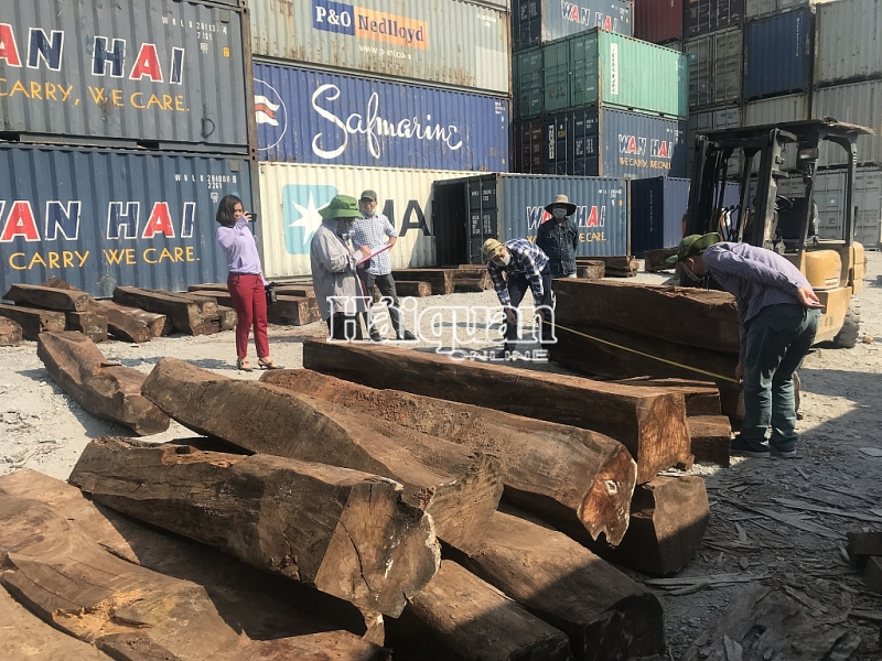 hinh anh bat giu 50 container go quy