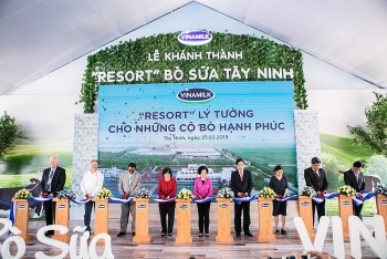 “RESORT” cho hơn 8.000 "cô" bò sữa Vinamilk