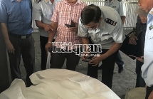 hai quan hai phong chu trong cong tac quan ly xuat xu hang hoa