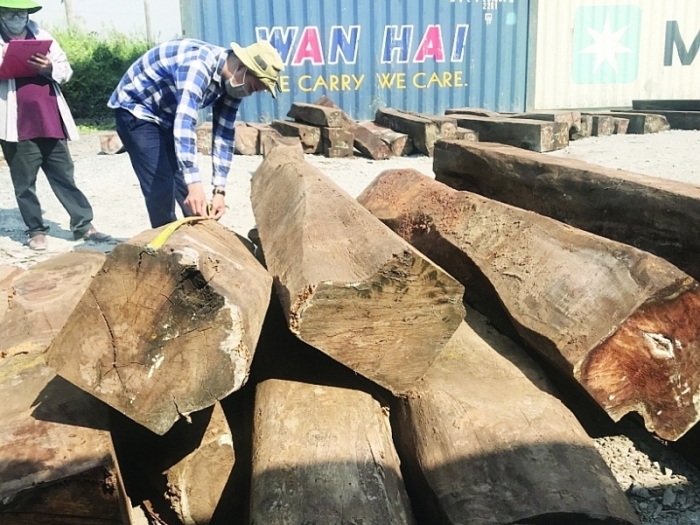 Tỷ lệ hàng hóa kiểm tra chuyên ngành tại cảng biển, sân bay cao