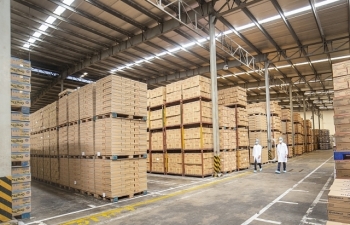 TPHCM: Nhiều sắc thuế tăng trưởng thấp nhất trong 3 năm qua