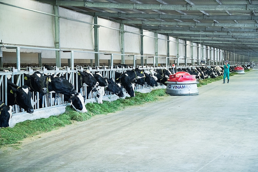 Vinamilk ra mắt hệ thống trang trại sinh thái Vinamilk Green Farm