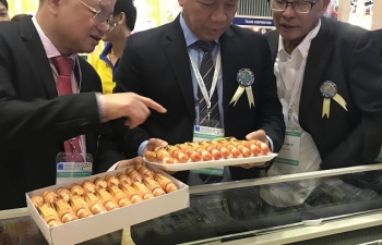Minh Phú lên tiếng về cáo buộc tránh thuế chống bán phá giá tại Mỹ