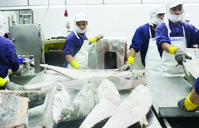 Xuất khẩu thủy sản quý II dự kiến tăng 8%