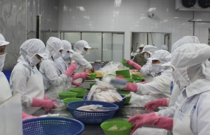 Gỡ thẻ vàng, doanh nghiệp thủy sản cam kết "nói không với IUU"