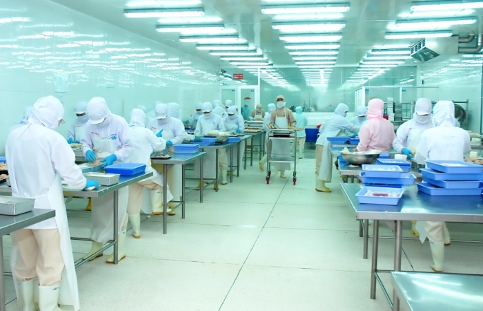 Xuất khẩu cá tra tăng ngoài dự đoán của chuyên gia