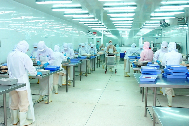 Doanh nghiệp chuyển hướng xuất khẩu cá tra