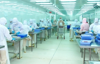 Thúc đẩy tiêu thụ cá tra trong thị trường nội địa