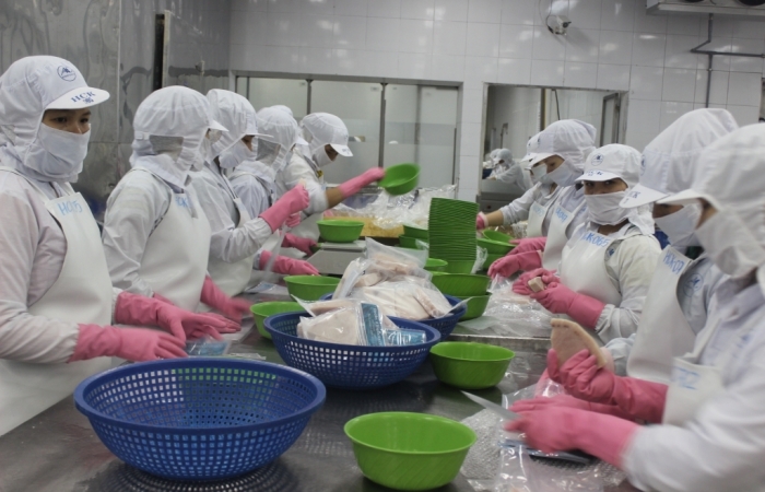 Kiến nghị chọn một trong hai hình thức kiểm dịch thủy sản