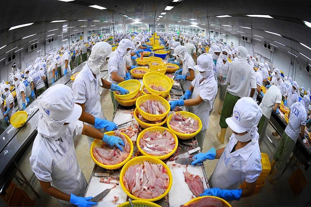 Cá tra xuất khẩu tăng tượng với 3 con số