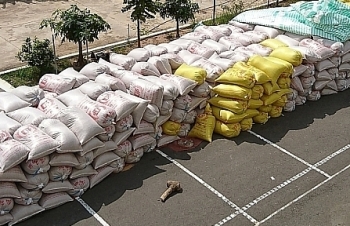Công an Đồng Tháp điều tra vụ nhập lậu gỗ, nông sản
