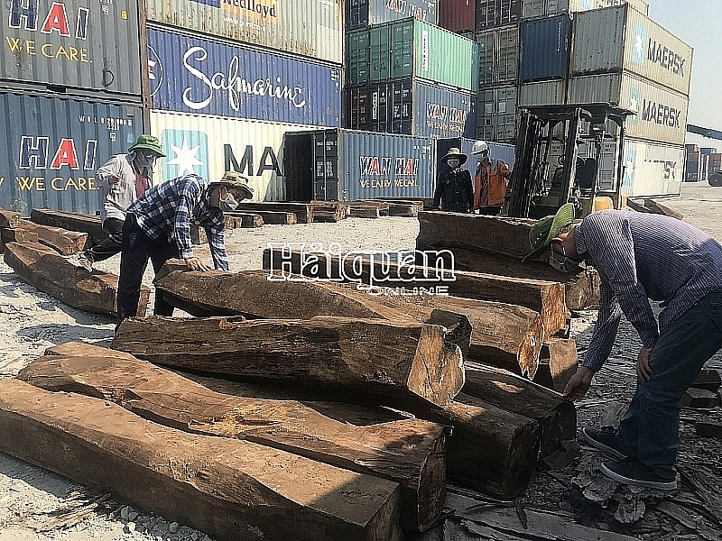 Tìm chủ của lô hàng trên 50 m3 gỗ giáng hương