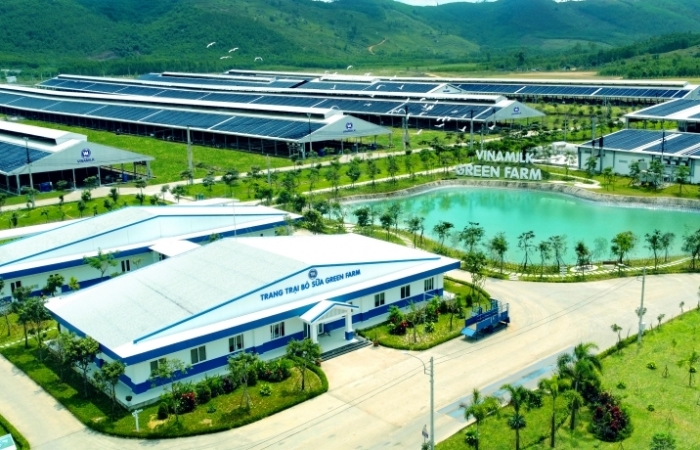 Vinamilk Green Farm – mô hình trang trại bò sữa phát triển bền vững