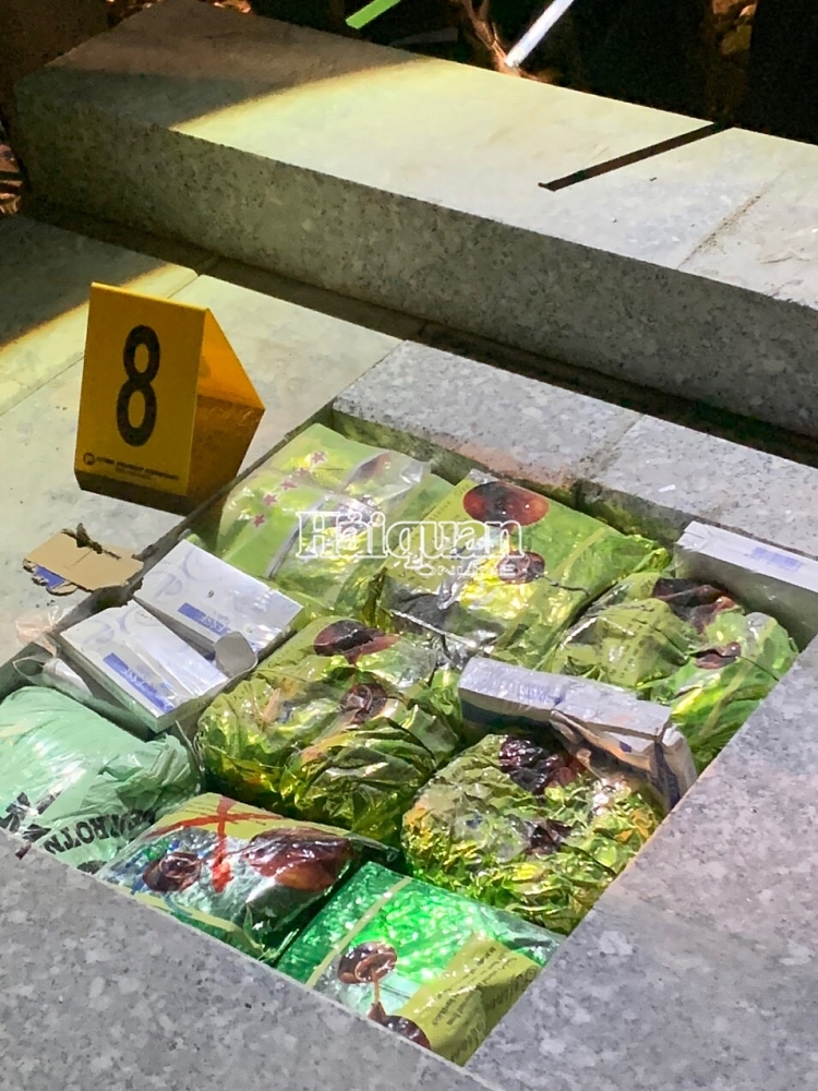 4042 img 2307