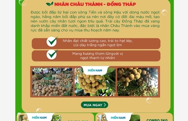 Kết nối tiêu thụ nhãn cho các tỉnh miền Tây