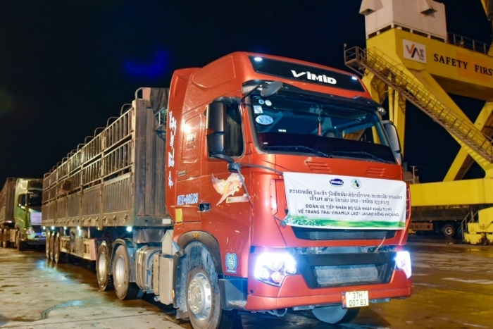 Vinamilk nhập khẩu 1.000 con bò sữa cho trang trại tại lào