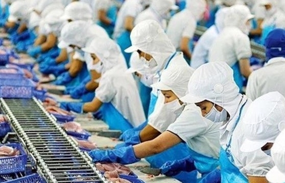 Doanh nghiệp cung cấp hàng trăm số điện thoại gọi điện quấy rối