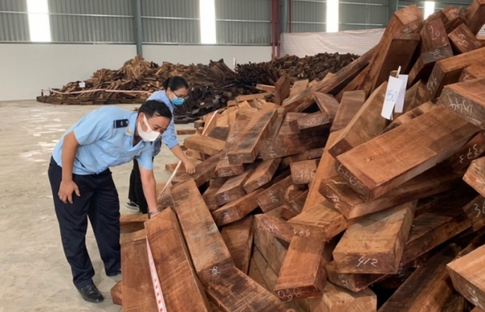 Hoàn tất khám xét 60 container gỗ quý
