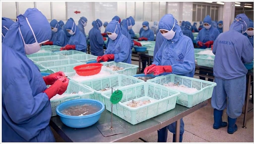 Công ty CP Sao Ta tăng chế biến thô trong điều kiện dịch bệnh