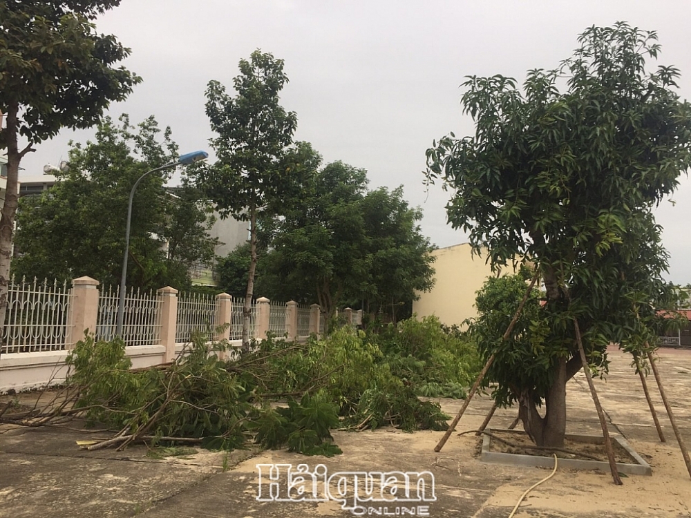 Hải quan miền Trung sẵn sàng hỗ trợ người dân tránh bão