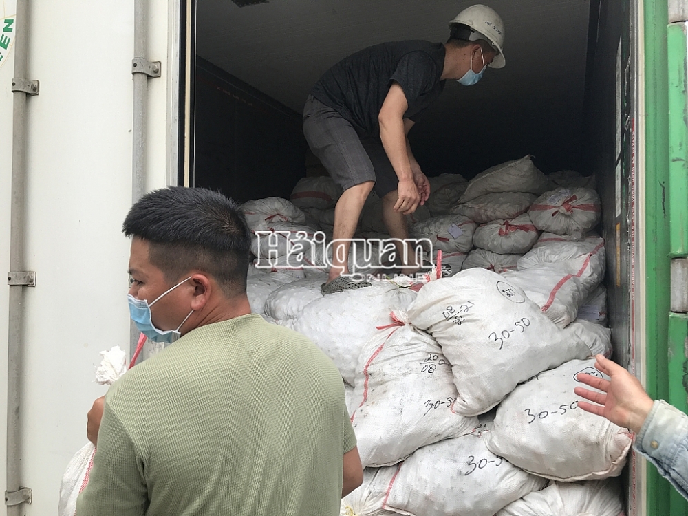 Hình ảnh hơn 20 mặt hàng lậu trong container sò huyết nhập khẩu