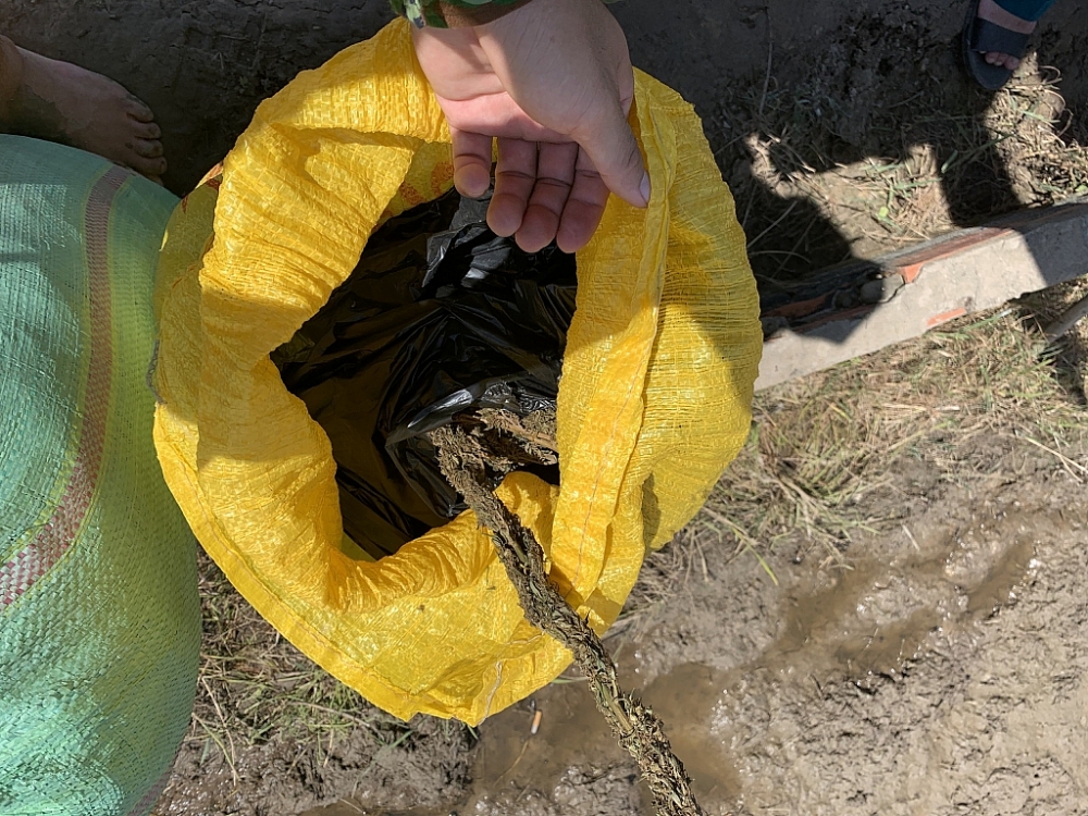 Bắt giữ trên 20 kg nghi cần sa qua biên giới