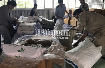 Hải quan TPHCM thu vào ngân sách gần 600 tỷ đồng từ tham vấn giá và kiểm tra sau thông quan